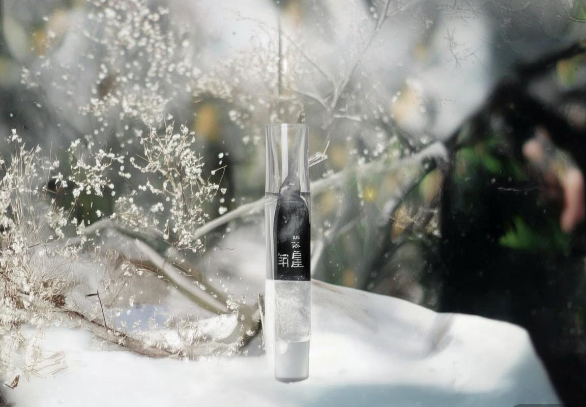 范子铭篮球梦：从青涩少年到职业球员的励志之路